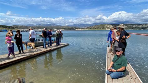 Rainbow trout released at Lake Cachuma ahead of Fish Derby