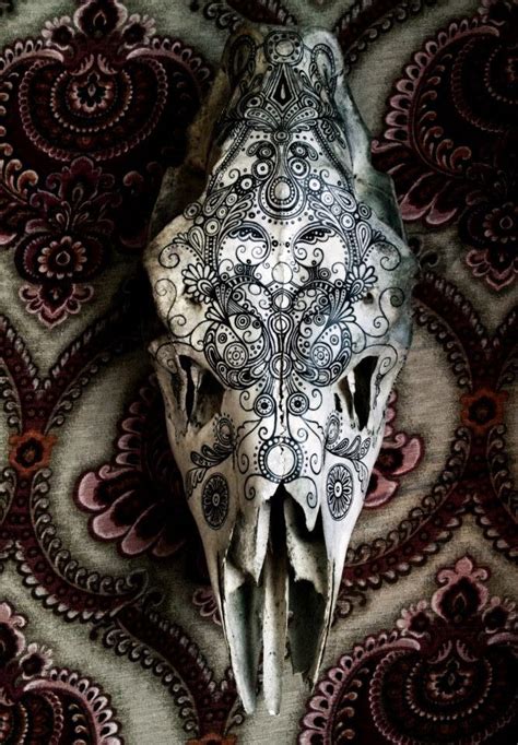 Animal skulls on Pinterest | Painted Animal Skulls, Painted Skulls and ...