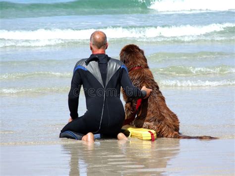 Sea Rescue Dog stock photo. Image of enjoy, rescue, ocean - 1930788