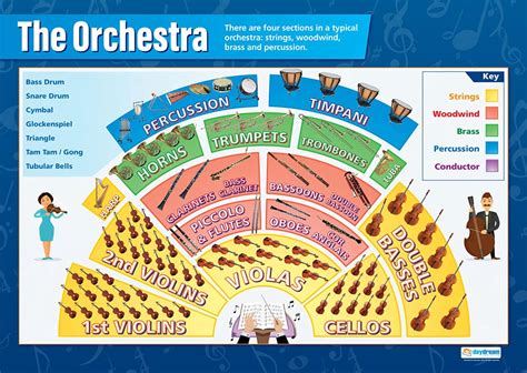 Buy Daydream Education The Orchestra | Music s | Gloss Paper measuring 33” x 23.5” | Music ...