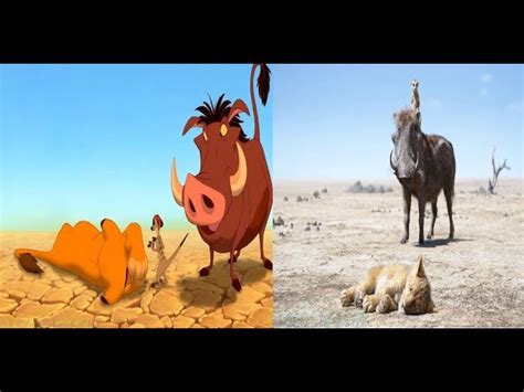 The Lion King Timon And Pumbaa And Simba