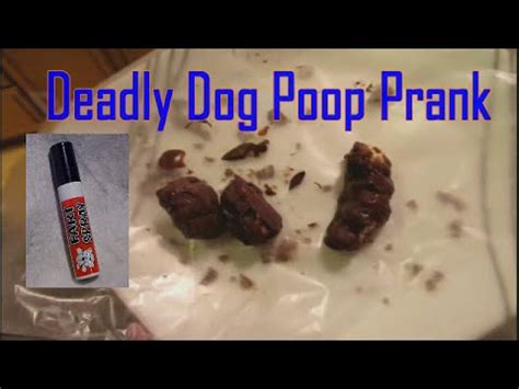 Deadly Dog Poop Prank! - YouTube