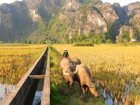 Ninh Binh Itinerary: Explore Rural Vietnam On Your Own