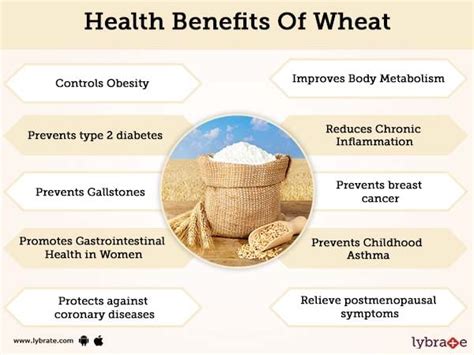 Wheat Bread Nutritional Benefits | Besto Blog