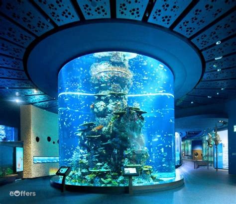 S.E.A. Aquarium Ticket | we-offers.com