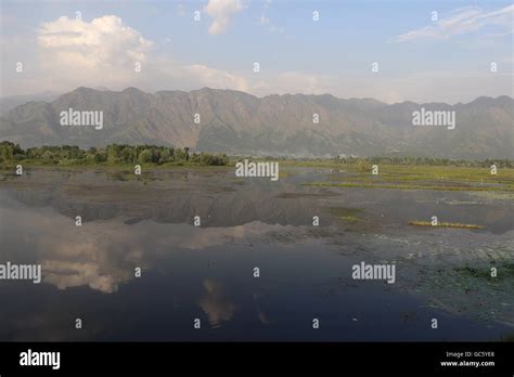 Dal Lake Kashmir Stock Photo - Alamy