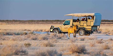 Etosha National Park - Namibia Wildlife Resorts