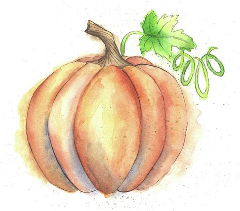 Watercolor Painting of a Pumpkin Painting by Andrea Hill - Pixels