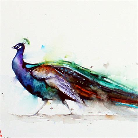 PEACOCK Watercolor Bird Art Print by Dean Crouser - Etsy