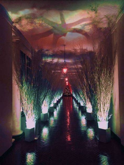 Melania Trump’s White House Christmas Decorations Have Generated Quite ...