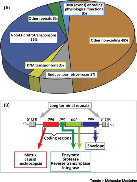 Human Endogenous Retroviruses in Neurological Diseases: Trends in Molecular Medicine