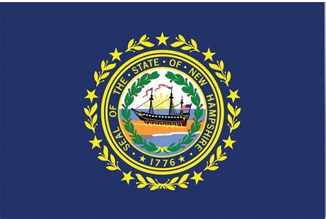 NYLGLO New Hampshire State Flag, 3 ftH x 5 ftW, Outdoor - 2NEL2|143460 ...