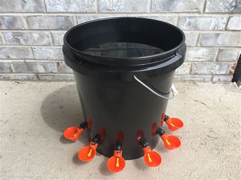 6 Cup Automatic Poultry Water Feeder, Halloween Thanksgiving Special, Quail, Pullets, Ducks ...