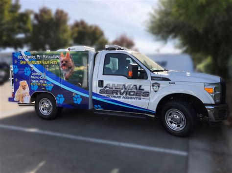 Animal Services | Citrus Heights, CA - Official Website