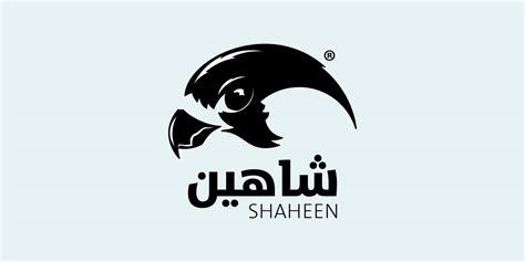 Shaheen Software Logo :: Behance