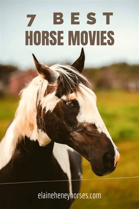 Top 7 must watch horse movies & documentaries - Listenology by Elaine Heney