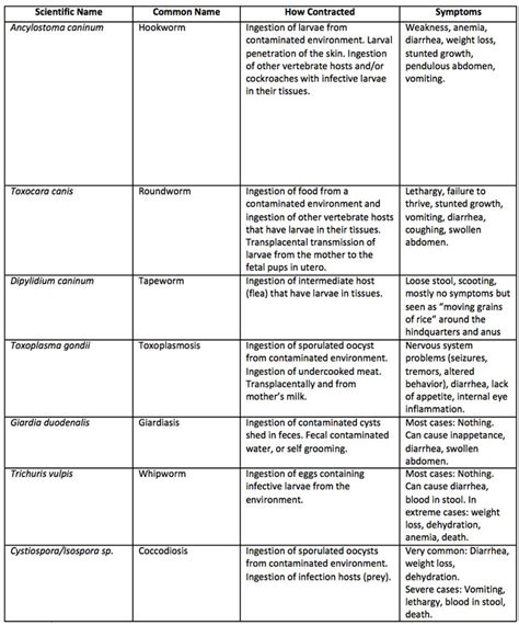 Pyrantel For Cats Dosage Chart | edu.svet.gob.gt