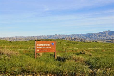 Coachella Valley National Wildlife Refuge | Flickr