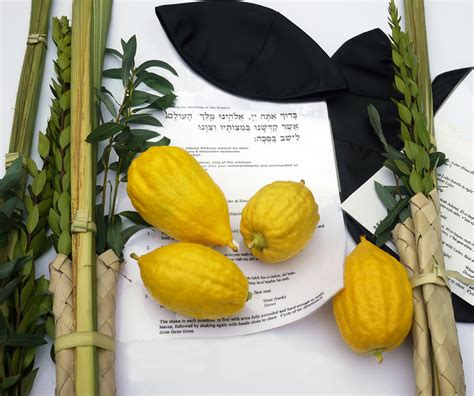 What Are a Lulav and Etrog?