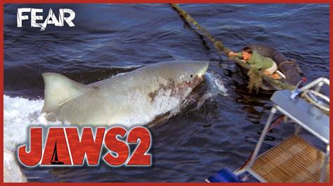 Killing The Shark (Final Scene) | Jaws 2 | Fear - YouTube