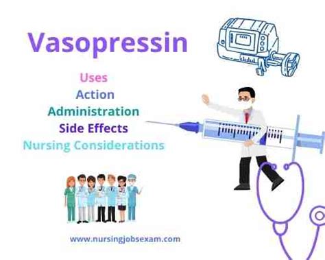 Vasopressin: Uses, Action, Administration, Side Effects, Nursing Considerations by NJE - Nursing ...