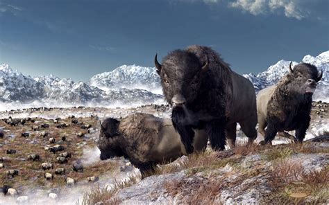 🔥 [73+] Bison Wallpapers | WallpaperSafari