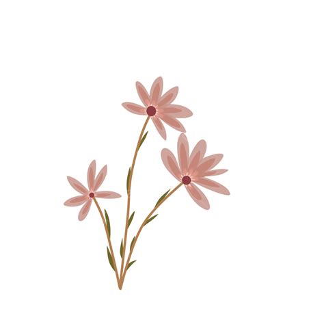 Aesthetic Flower Decoration, Beautiful, Flower, Aesthetic PNG Transparent Clipart Image and PSD ...