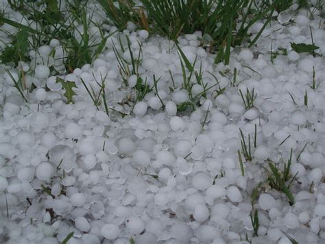 Difference Between Sleet and Hail | Compare the Difference Between Similar Terms