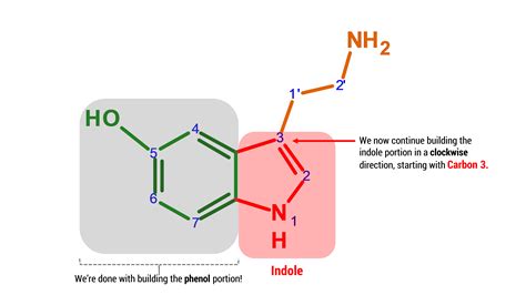 Serotonin – Duluth Labs