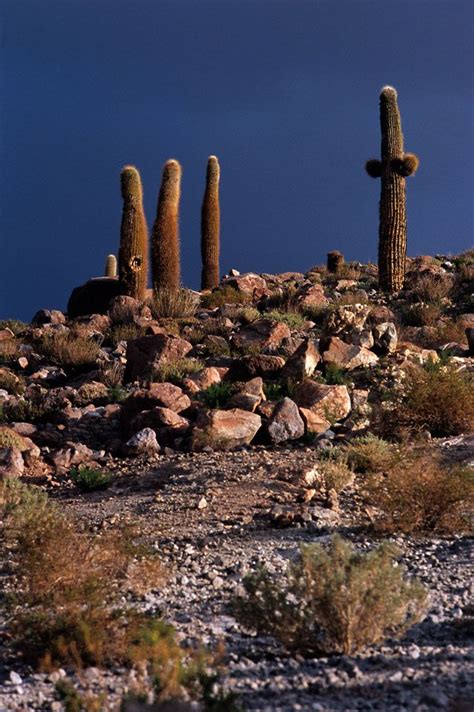 #ExploraAtacama lies in the heart of the #Atacamadesert the driest place on the planet ...