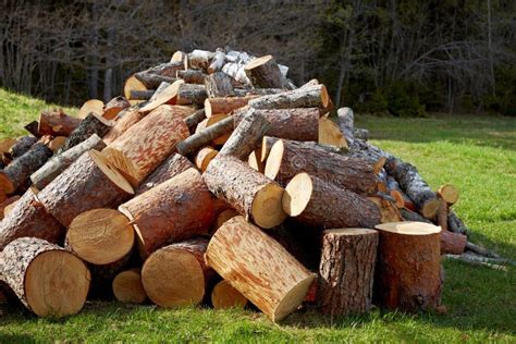 Pile of wooden logs stock image. Image of tree, wood - 19536535