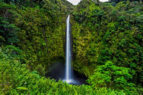 Akaka Falls State Park - A nature-lover's delight | Only In Hawaii