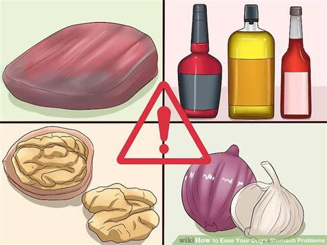 How to Ease Your Dog's Stomach Problems (with Pictures) - wikiHow