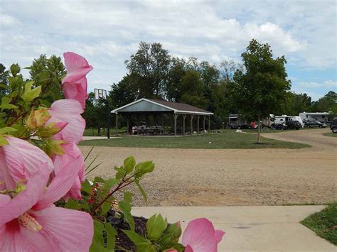 Camp Turkeyville RV Resort | Marshall, MI - RV Parks and Campgrounds in Michigan - Good Sam Camping