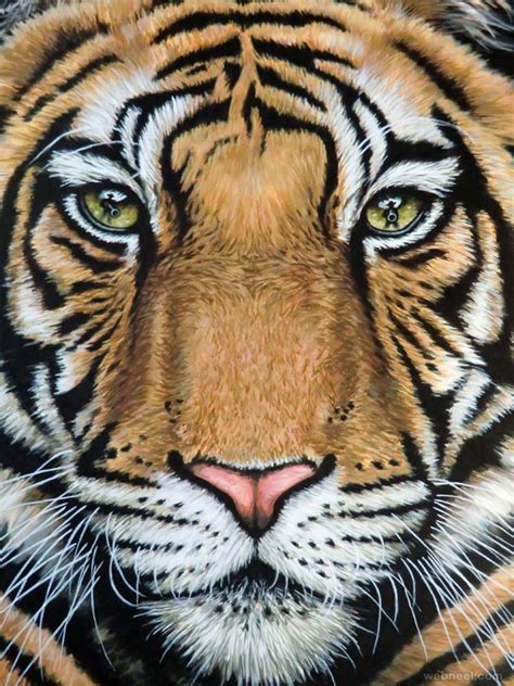 25 Beautiful and Realistic Animal Drawings around the world