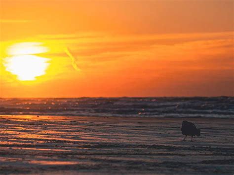 Galveston Island State Park reopens after major makeover with updated ...