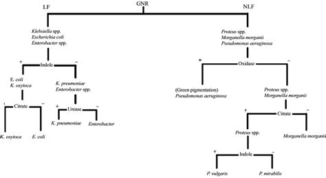 Bacterial Uropathogen among Benign Prostatic Hyperplasia Patients at a Tertiary Hospital in Nigeria