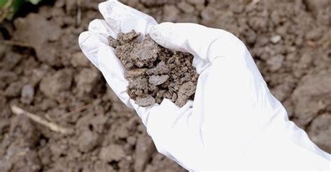 Lead Contamination Found in Geneva’s Soil – Cleanup Plan Finally ...