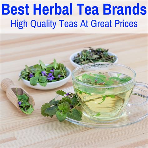 Discover the Finest Herbal Tea Brands