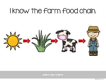 Farm Food Chain Adapted Work Book by Teaching in a Topknot | TPT