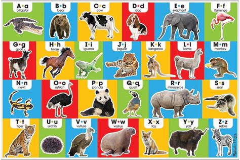 Melissa and Doug Animal Alphabet Floor Puzzle (Easy-Clean Surface, Promotes Hand-Eye ...