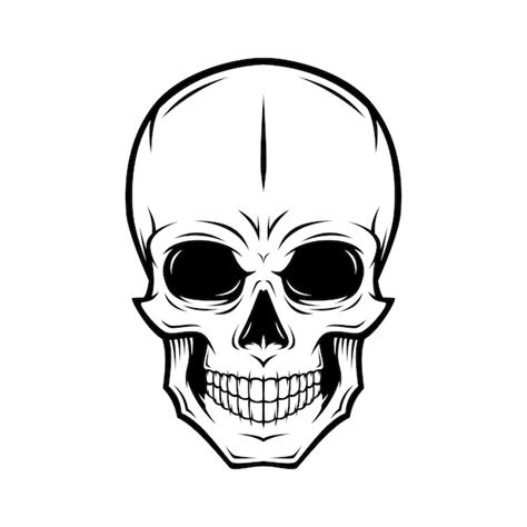 Premium Vector | Human skull illustration