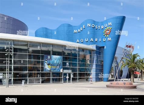 Aquarium Mare Nostrum Odysseum Montpellier France Stock Photo: 62143308 ...