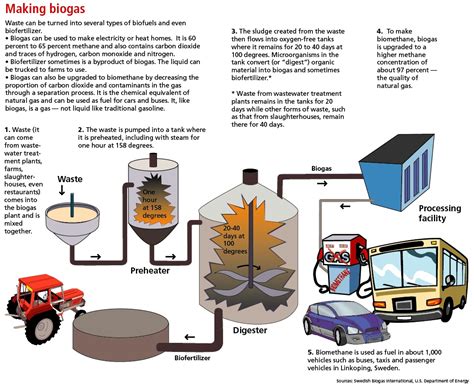 The Biogas Process | noEnigma