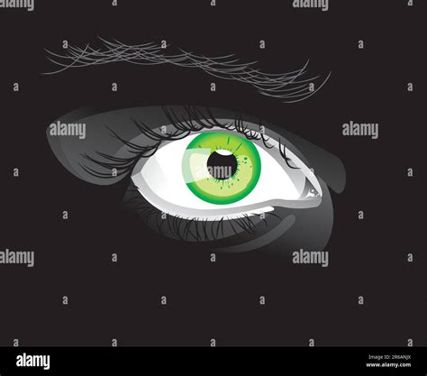 Eye realistic vector illustration Stock Vector Image & Art - Alamy