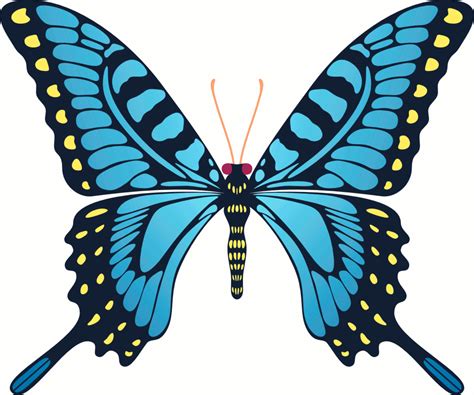 Animated Flying Butterfly - ClipArt Best