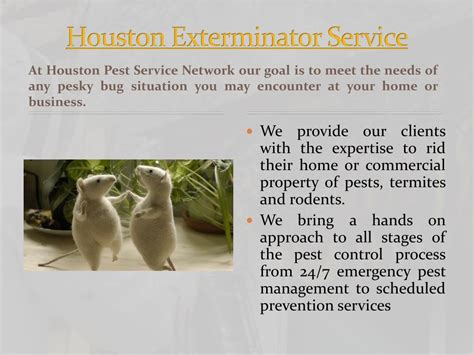 PPT - Houston Exterminator Service PowerPoint Presentation, free download - ID:3202937