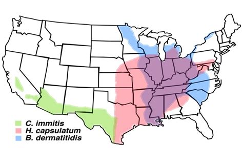 Blastomyces dermatitidis - Infectious Disease Advisor