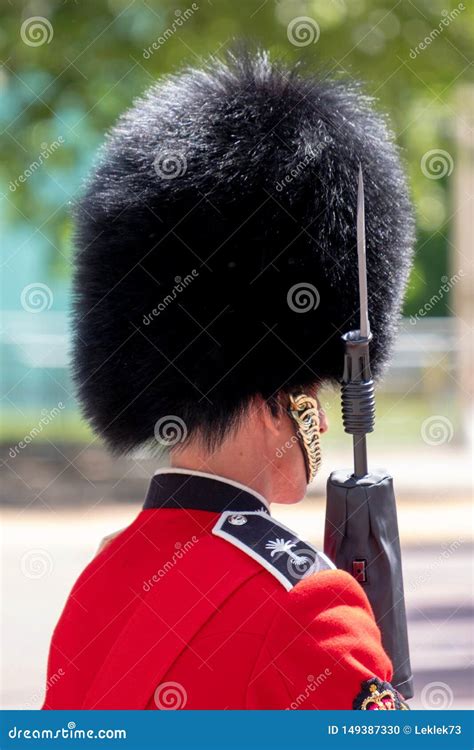 Trooping the Colour Parade at Horse Guards, London UK, with Soldier in Iconic Red and Black ...