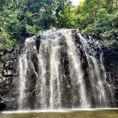 Atherton Tablelands Waterfalls